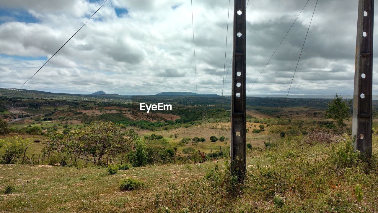 AGRICULTURAL FIELD AGAINST SKY