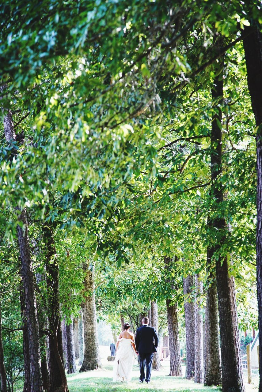Rear view of couple walking on field amidst trees at park
