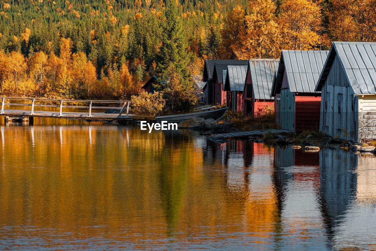 Scenic view of lake by trees during autumn