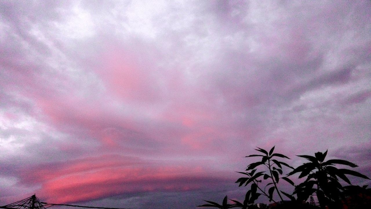 SILHOUETTE OF TREES AGAINST CLOUDY SKY