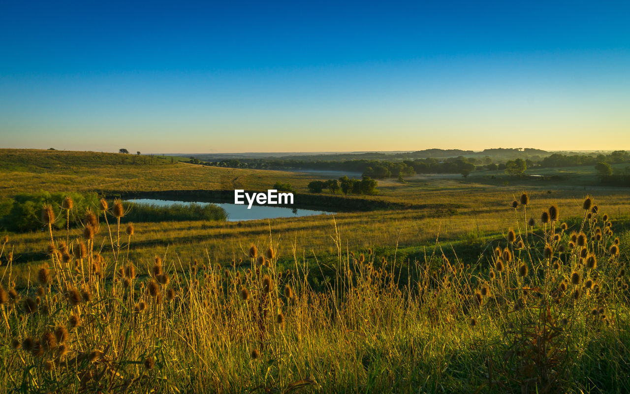 Scenic view of calm lake against clear sky