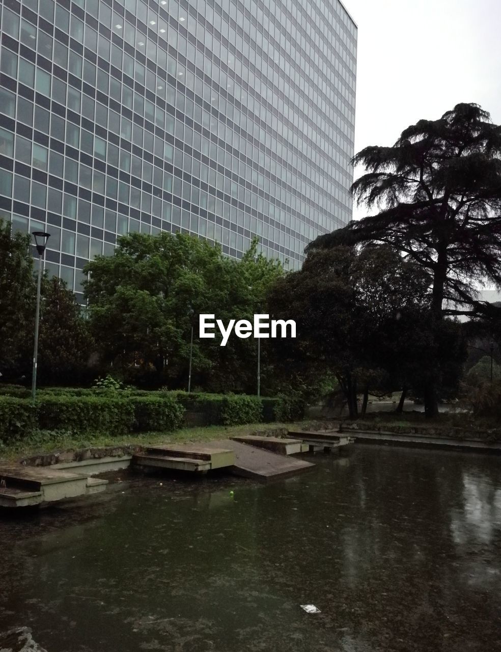 TREES AND BUILDING IN CITY DURING RAINY SEASON