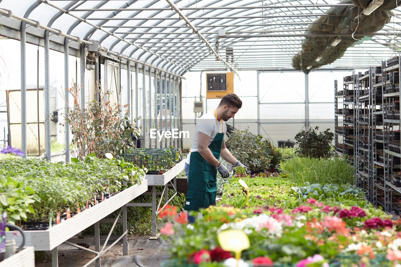 Full length of woman standing in greenhouse