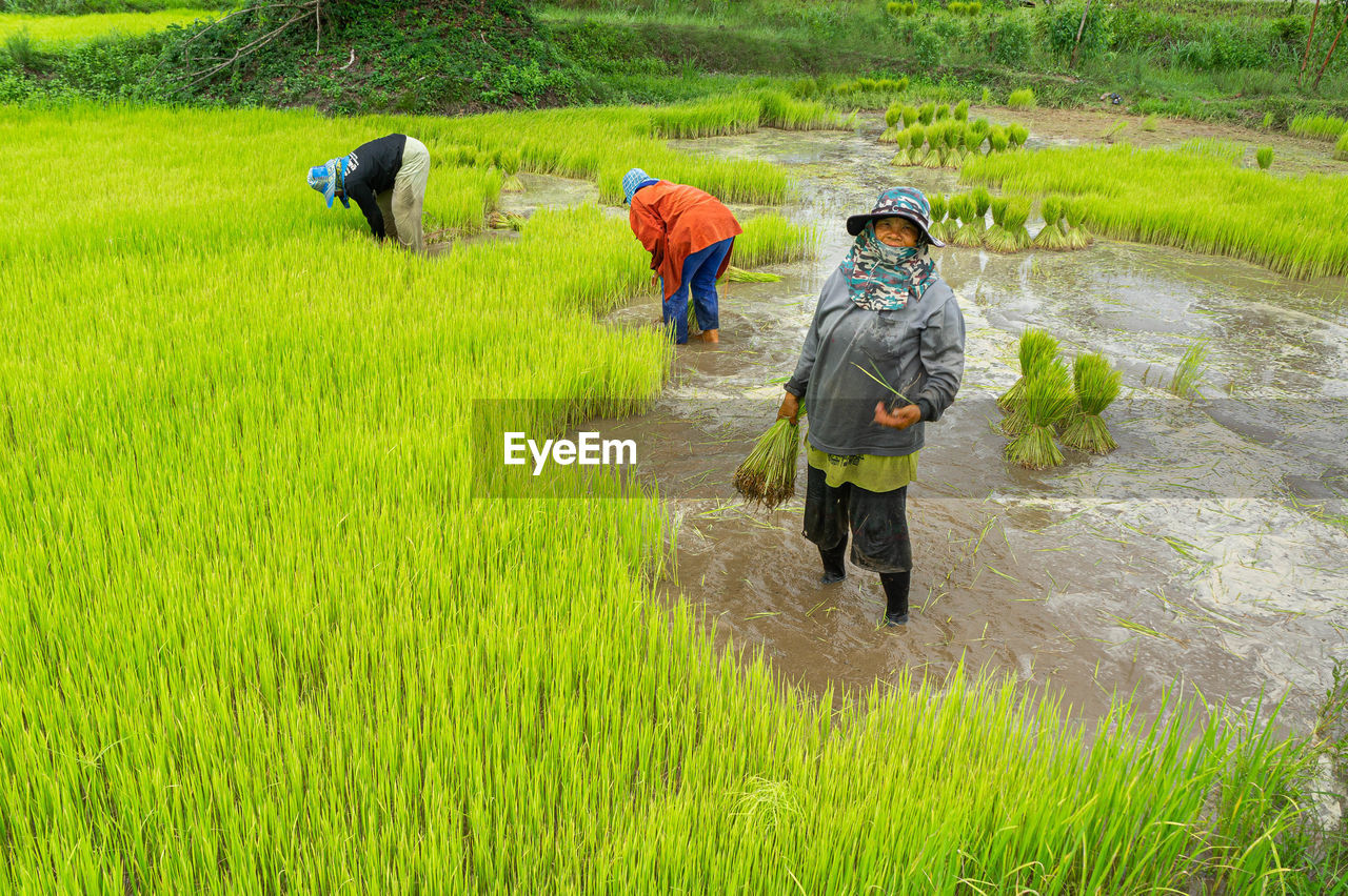 PEOPLE WORKING ON FIELD WITH UMBRELLA