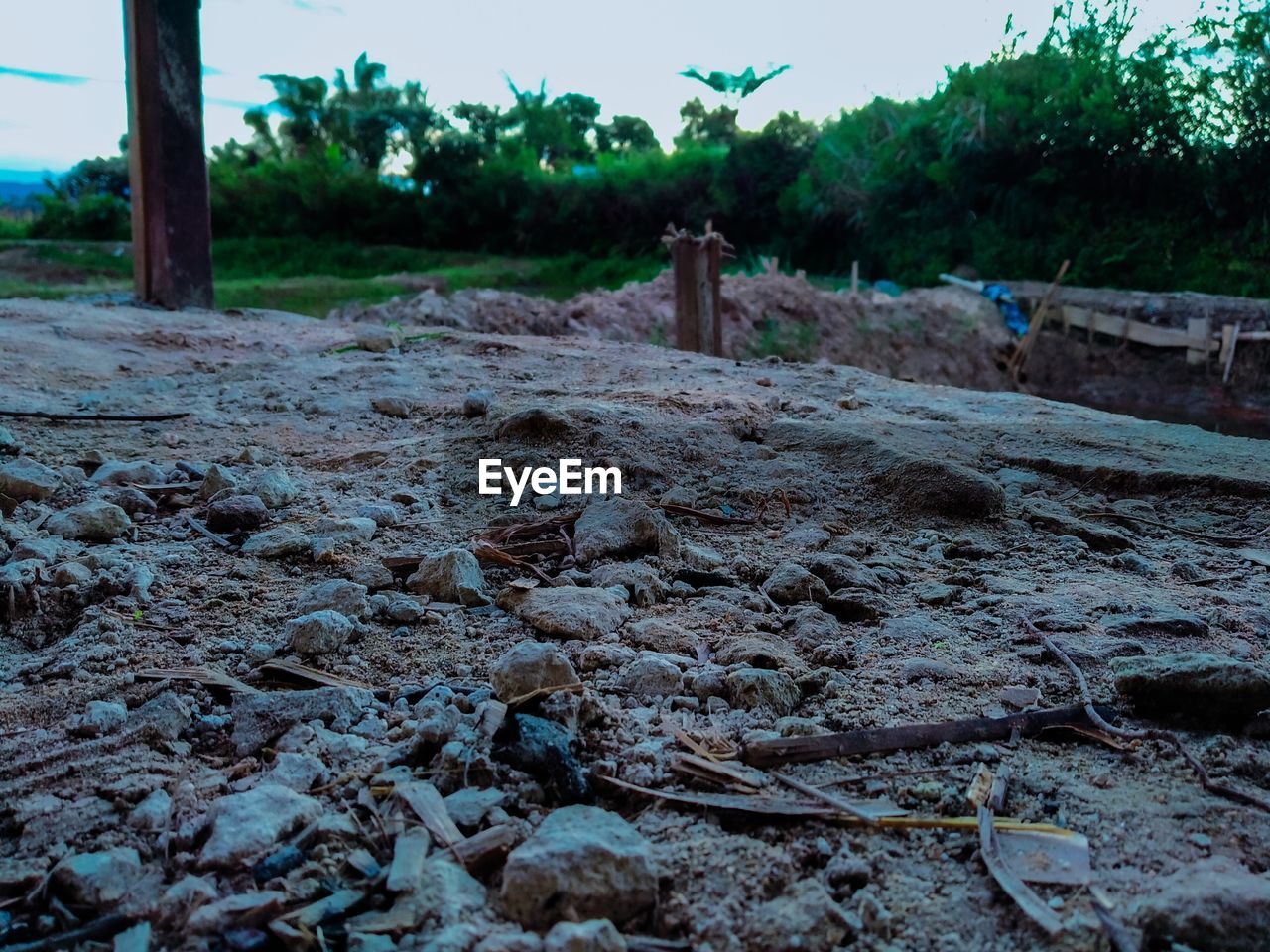 SURFACE LEVEL OF DIRT ROAD ON FIELD