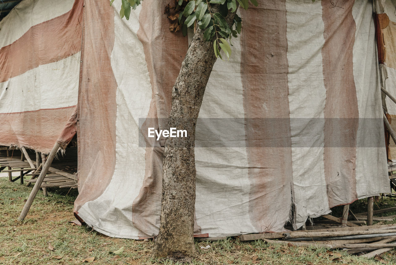 Tent by damaged tree