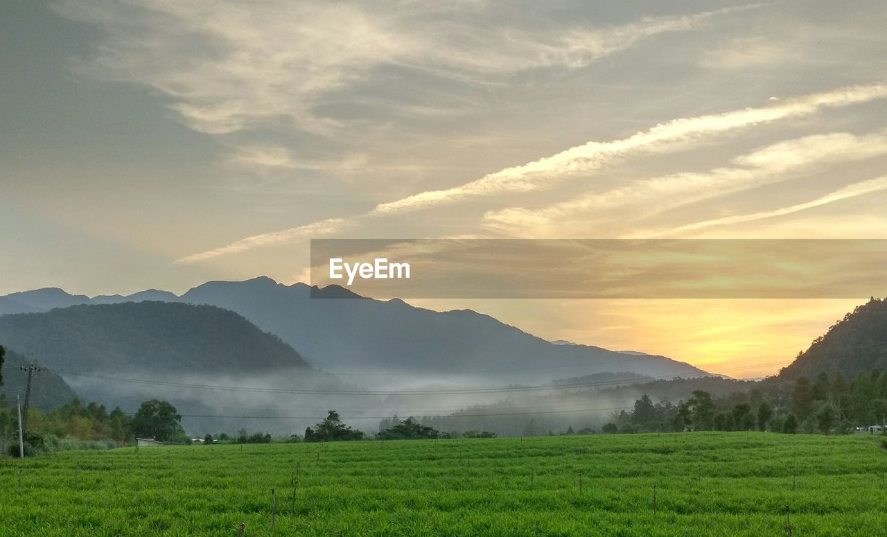 Scenic view of field against sky during sunset