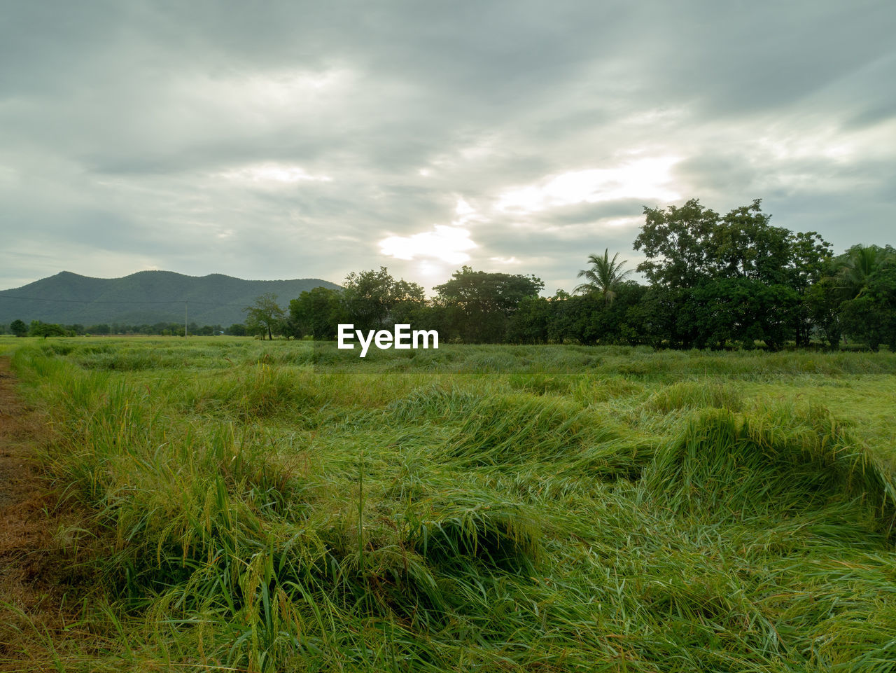 SCENIC VIEW OF LAND AGAINST SKY