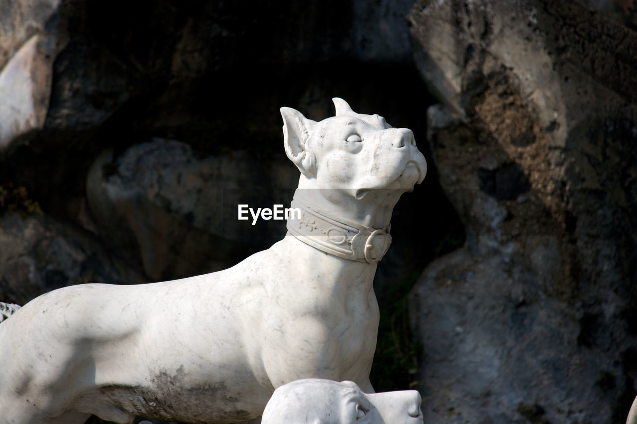 Close-up of dog statue