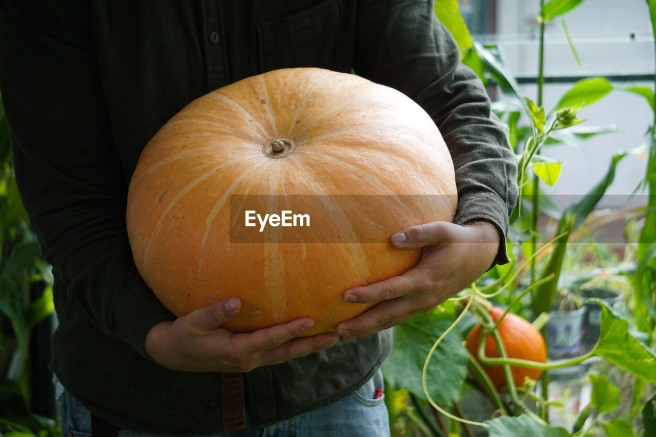 Midsection of man holding pumpkin