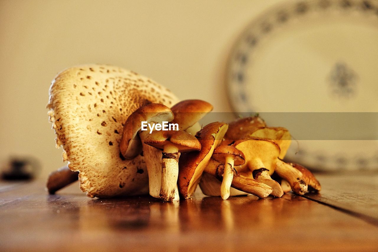 Edible mushrooms on table in kitchen