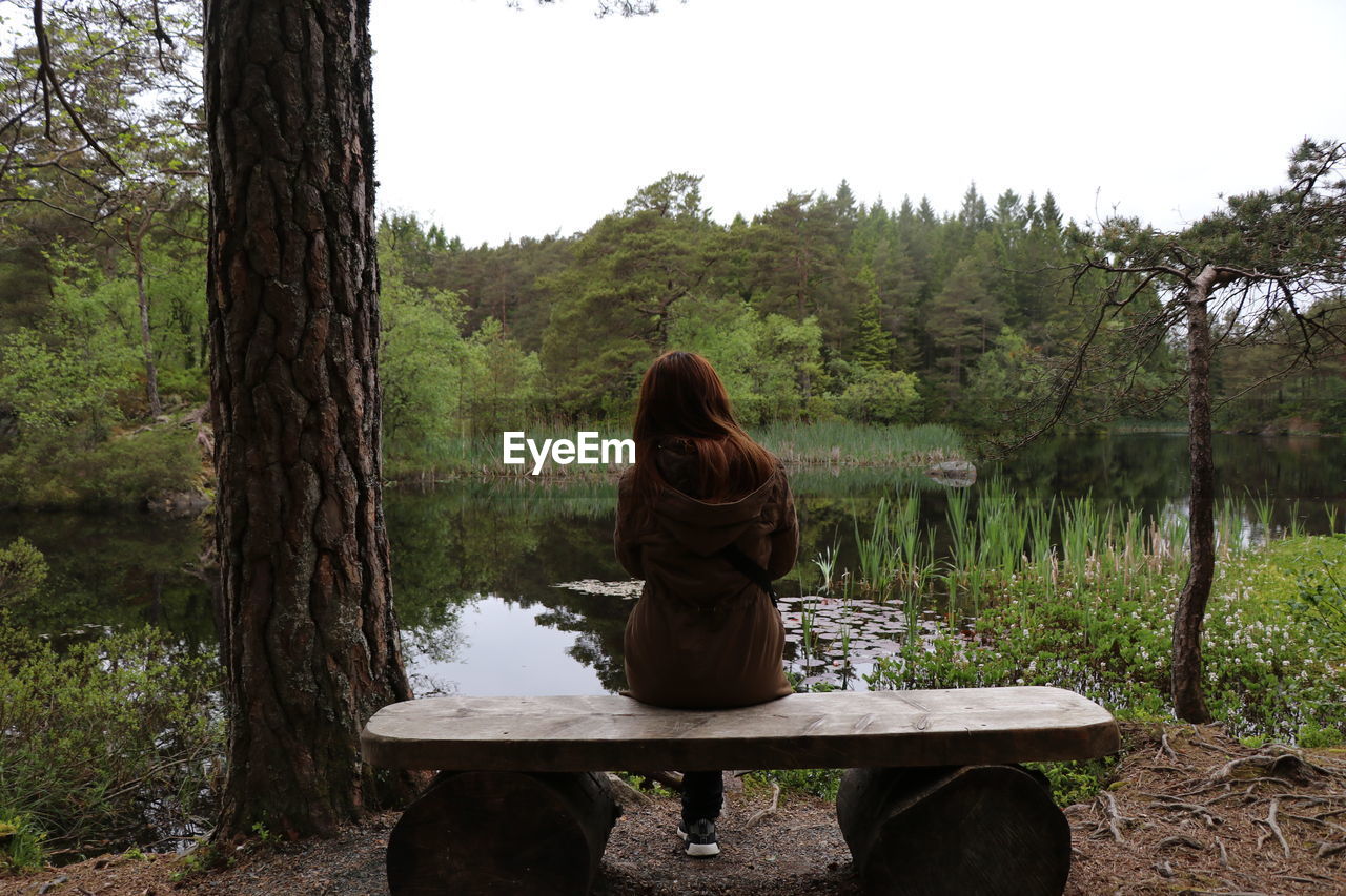 Rear view of woman looking at forest while sitting by lake