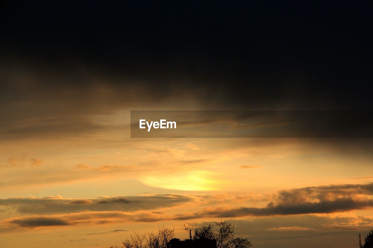 LOW ANGLE VIEW OF SILHOUETTE TREES AGAINST SKY
