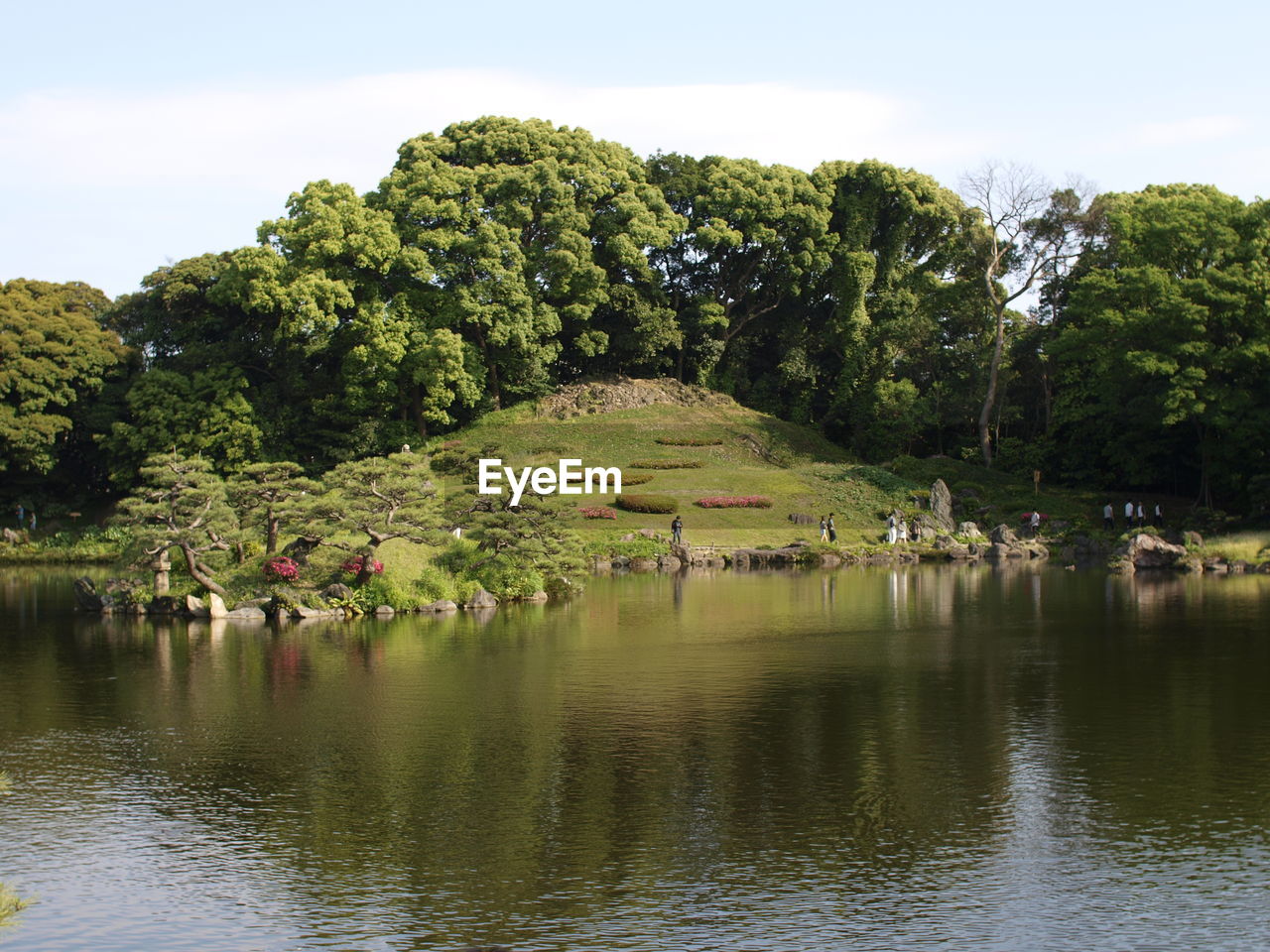SCENIC VIEW OF LAKE WITH TREES IN BACKGROUND