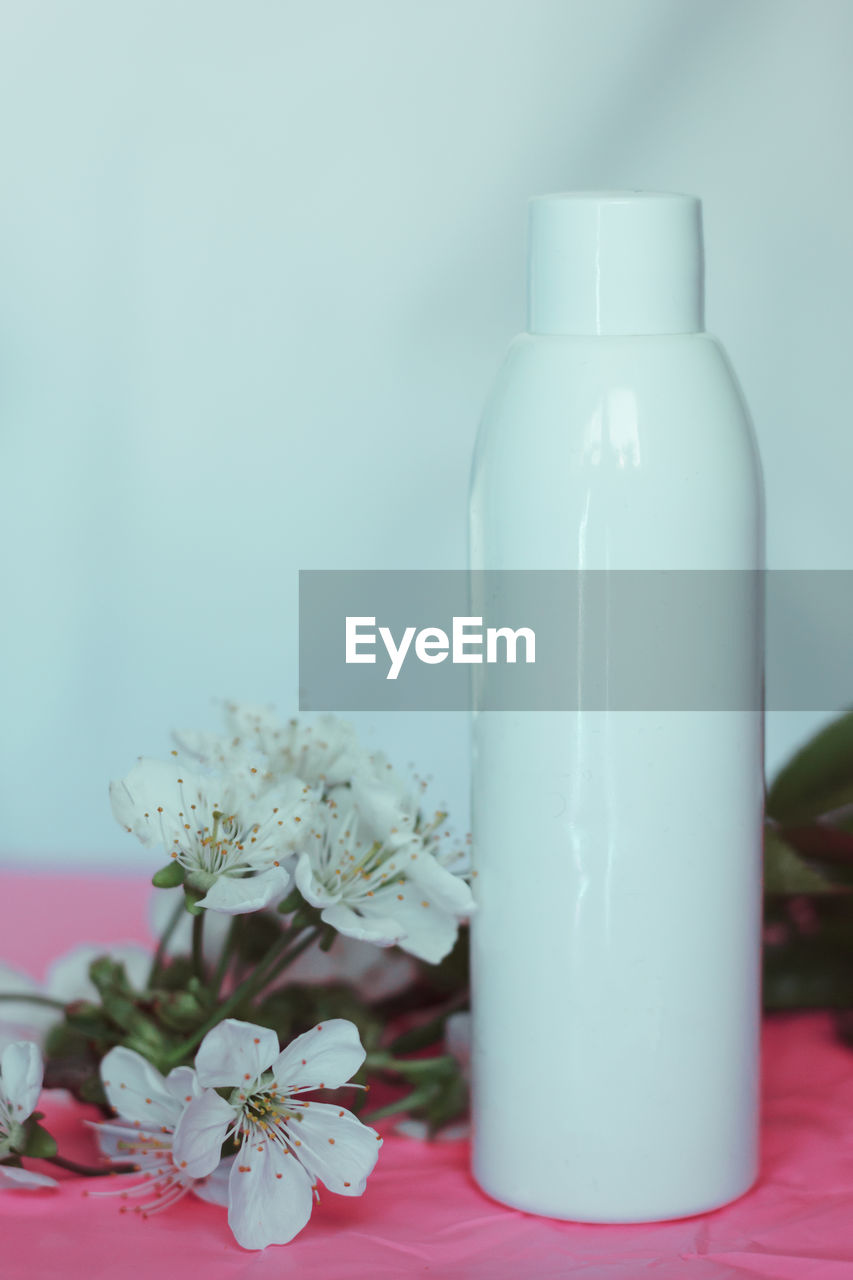 Close-up of white rose on table