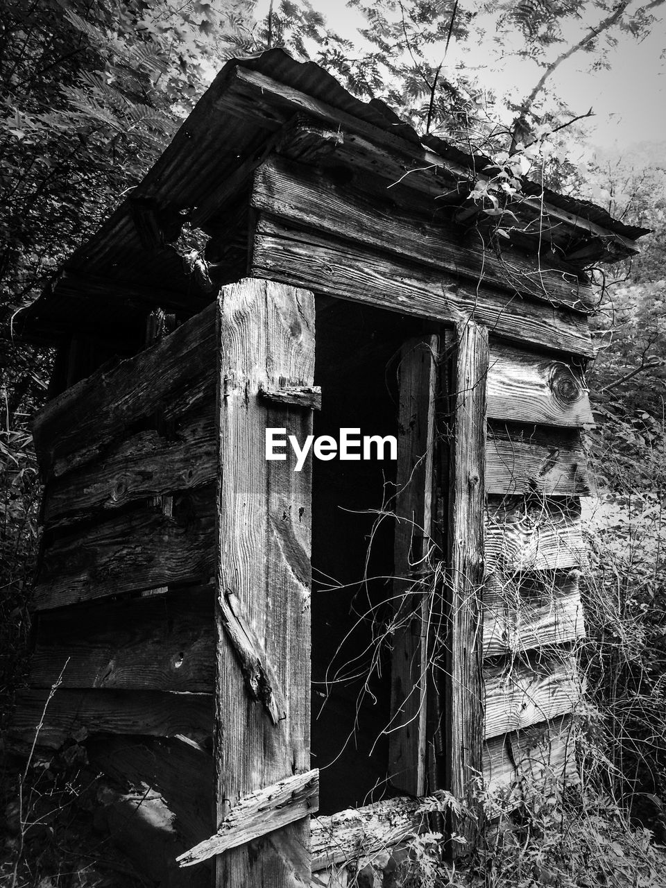 Abandoned wooden outhouse