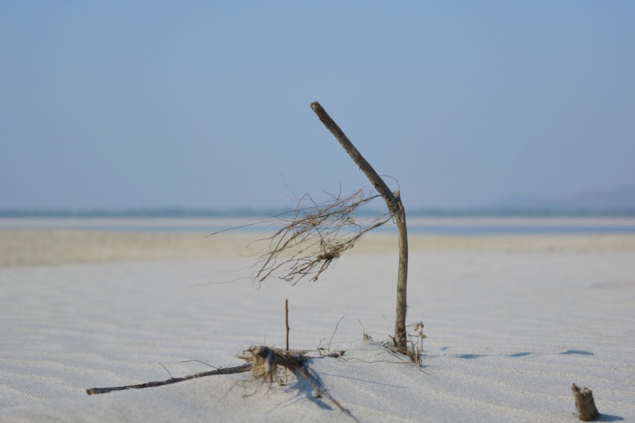 CLOSE-UP OF BEACH AGAINST CLEAR SKY