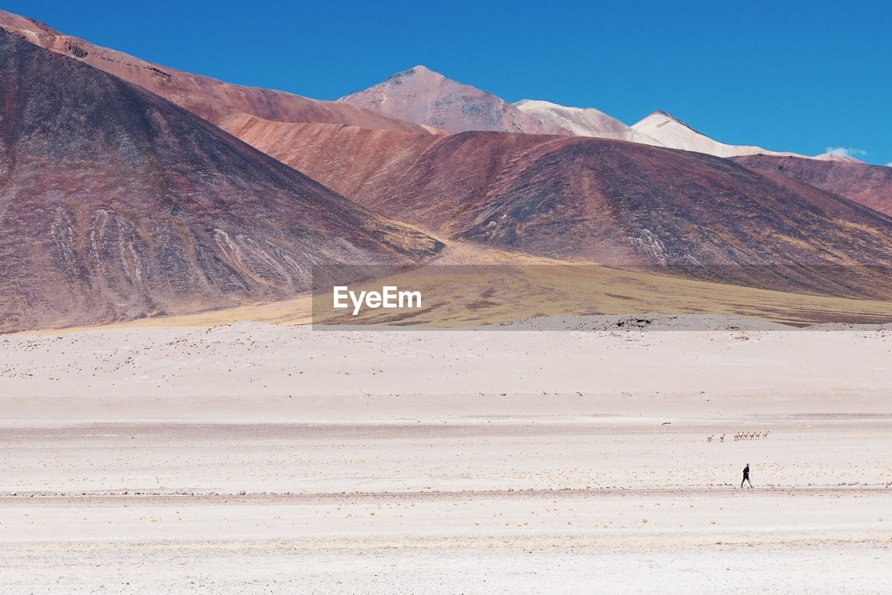 Scenic view of desert against sky