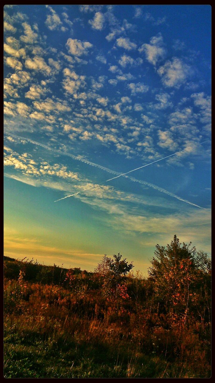 Vapor trails forming cross in sky