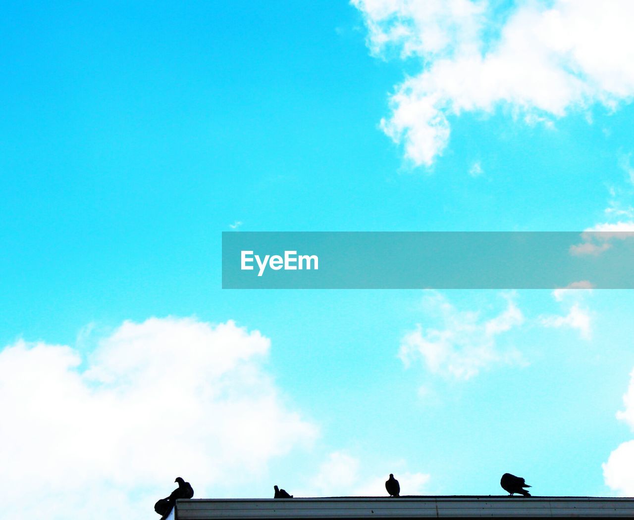 LOW ANGLE VIEW OF SILHOUETTE PEOPLE BY SEA AGAINST SKY