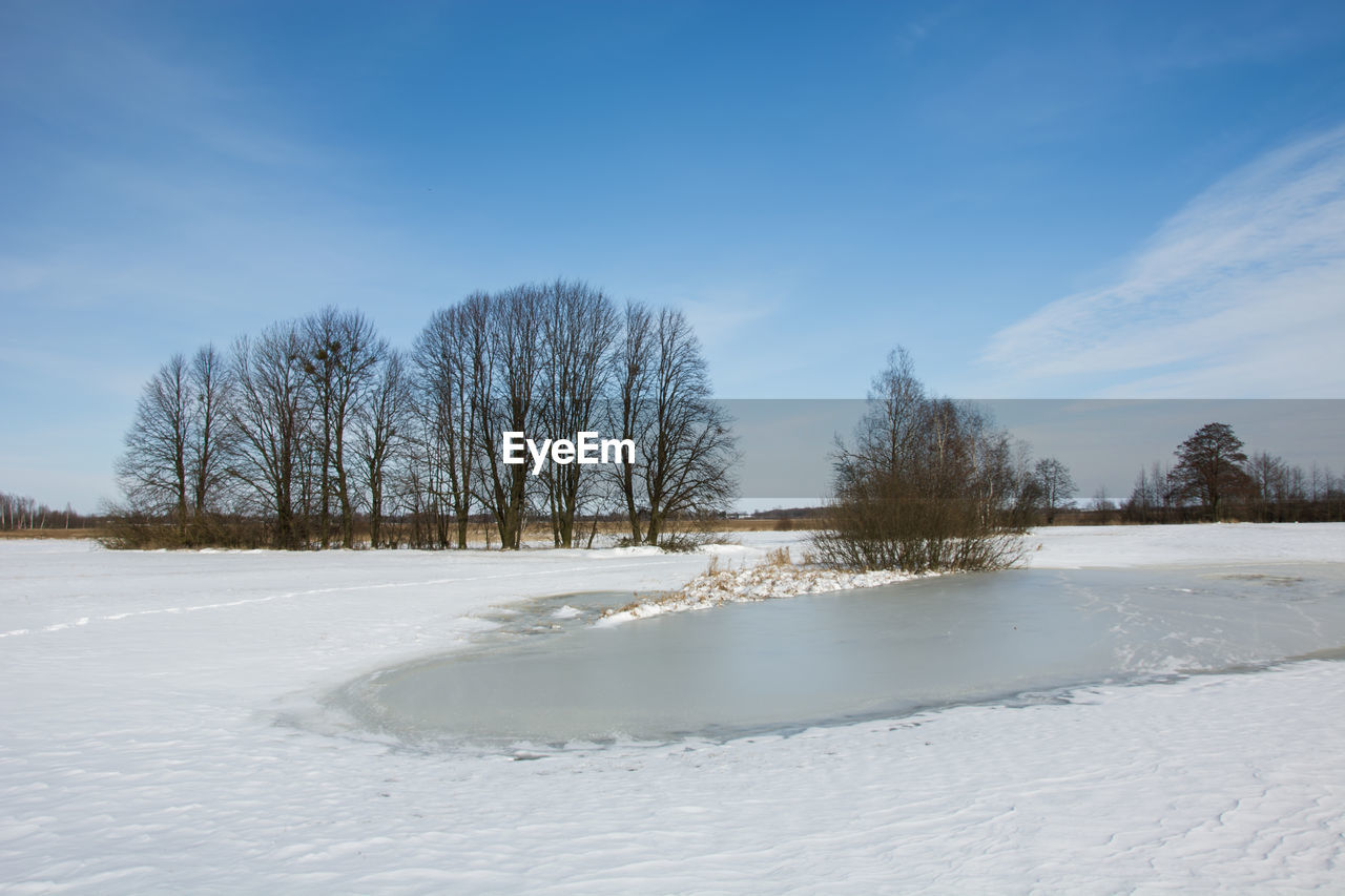 Bare trees on snow field against sky during winter