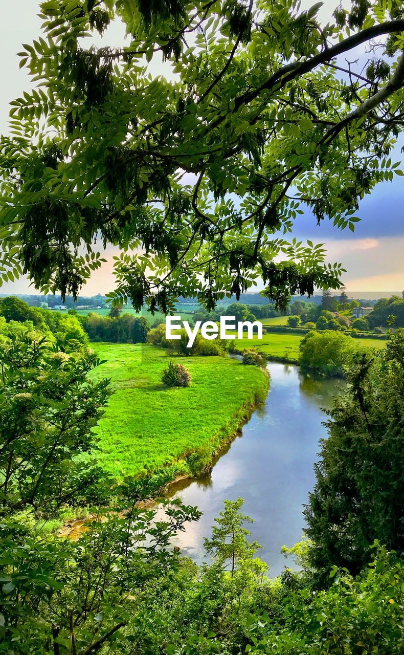 Scenic view of lake by trees against sky