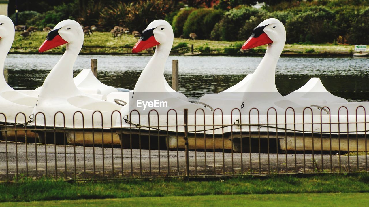 View of a swan boat in the water