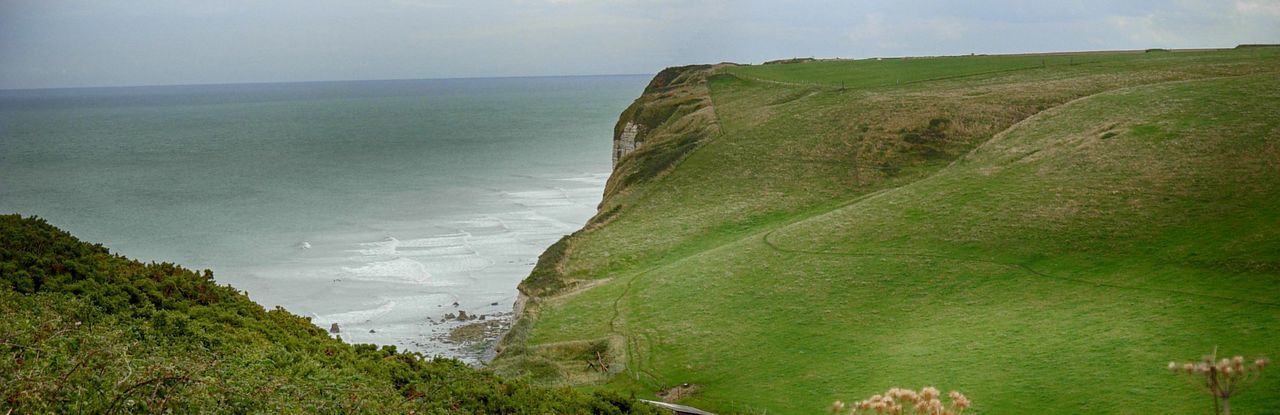 Panoramic shot of grassy field by sea against cloudy sky