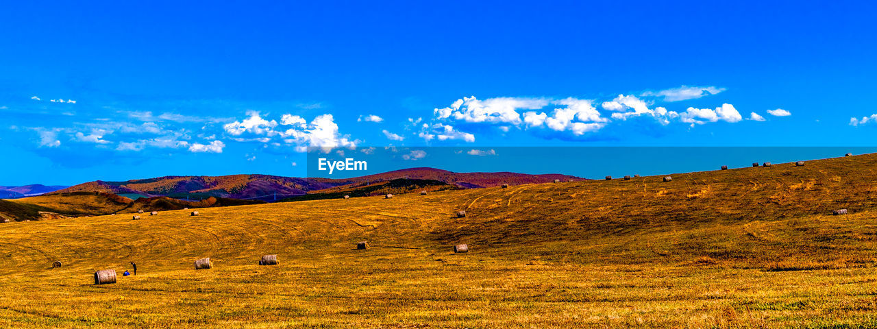 Scenic view of field against blue sky