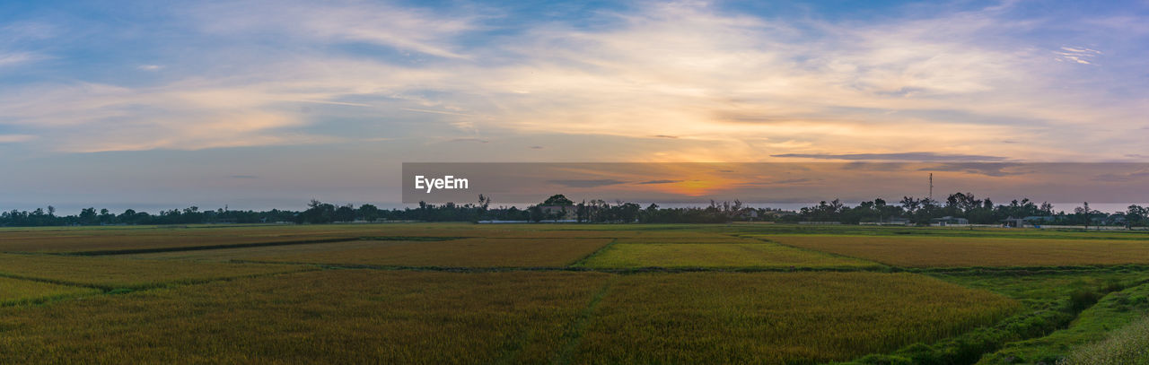 SCENIC VIEW OF AGRICULTURAL FIELD AGAINST SKY AT SUNSET