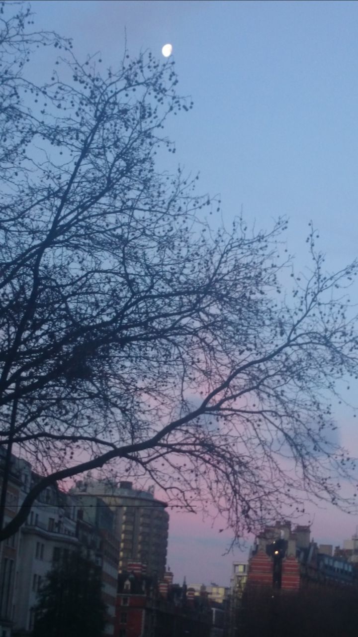 LOW ANGLE VIEW OF BUILDINGS AGAINST SKY