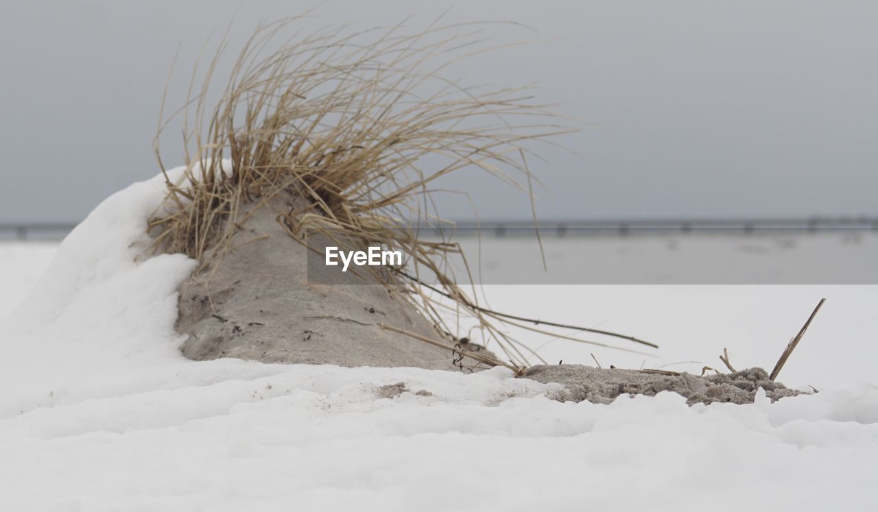 Snow covered land on beach against sky