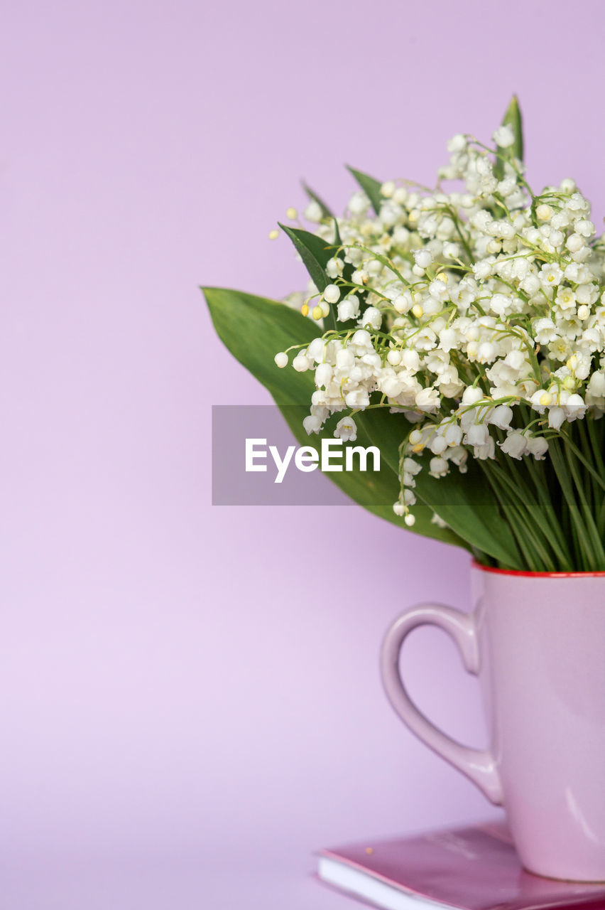 Close-up of flowers on table