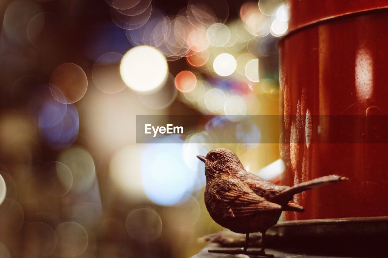 Close-up of artificial bird against illuminated defocused lights at night