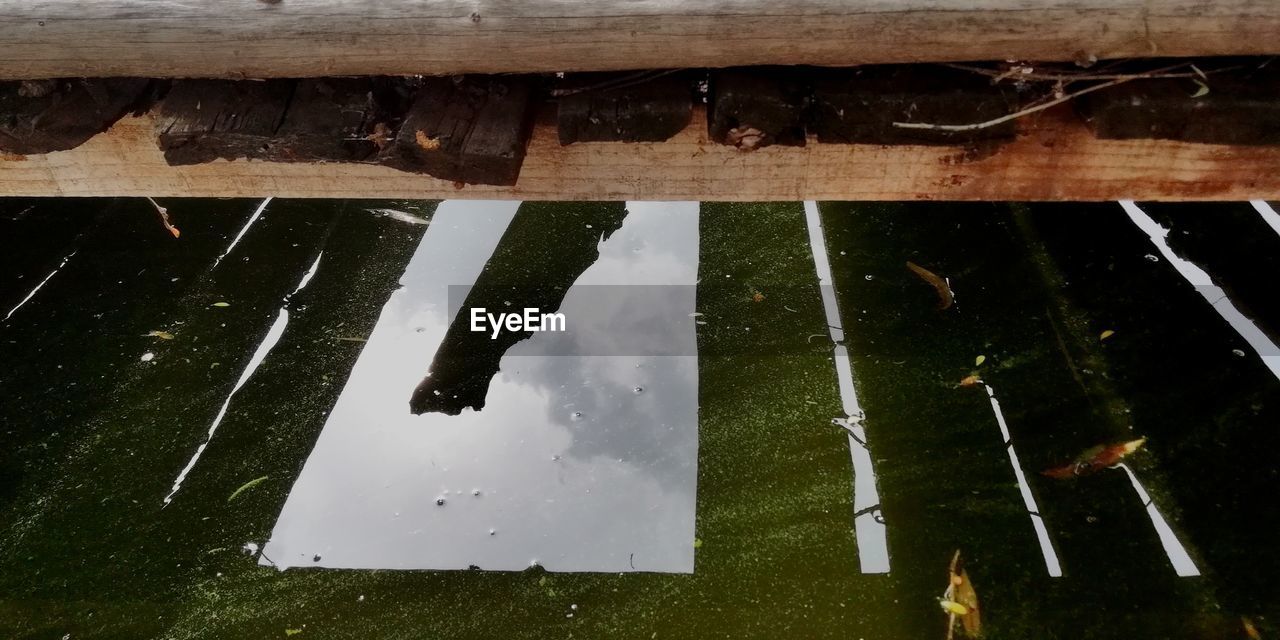 HIGH ANGLE VIEW OF LOG ON WOOD