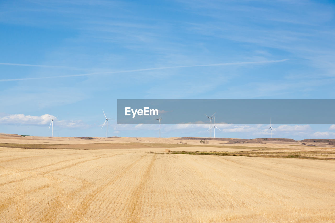 environment, wind turbine, sky, turbine, power generation, landscape, wind power, renewable energy, land, field, alternative energy, plain, environmental conservation, nature, beauty in nature, agriculture, electricity, rural scene, cloud, scenics - nature, prairie, blue, day, technology, windmill, no people, tranquility, grassland, horizon, tranquil scene, power supply, farm, wind, outdoors, sustainable resources, sunlight, horizon over land, wind farm, environmental issues, non-urban scene, cereal plant, steppe