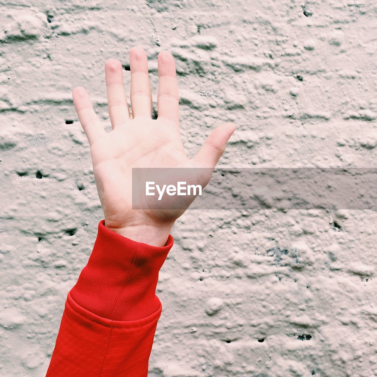 Close-up of woman hand against wall