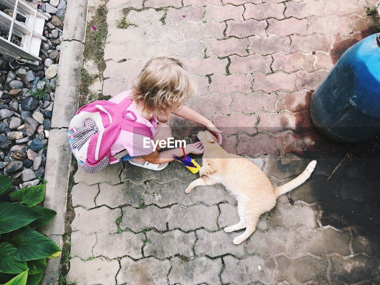 High angle view of girl stroking cat lying on footpath