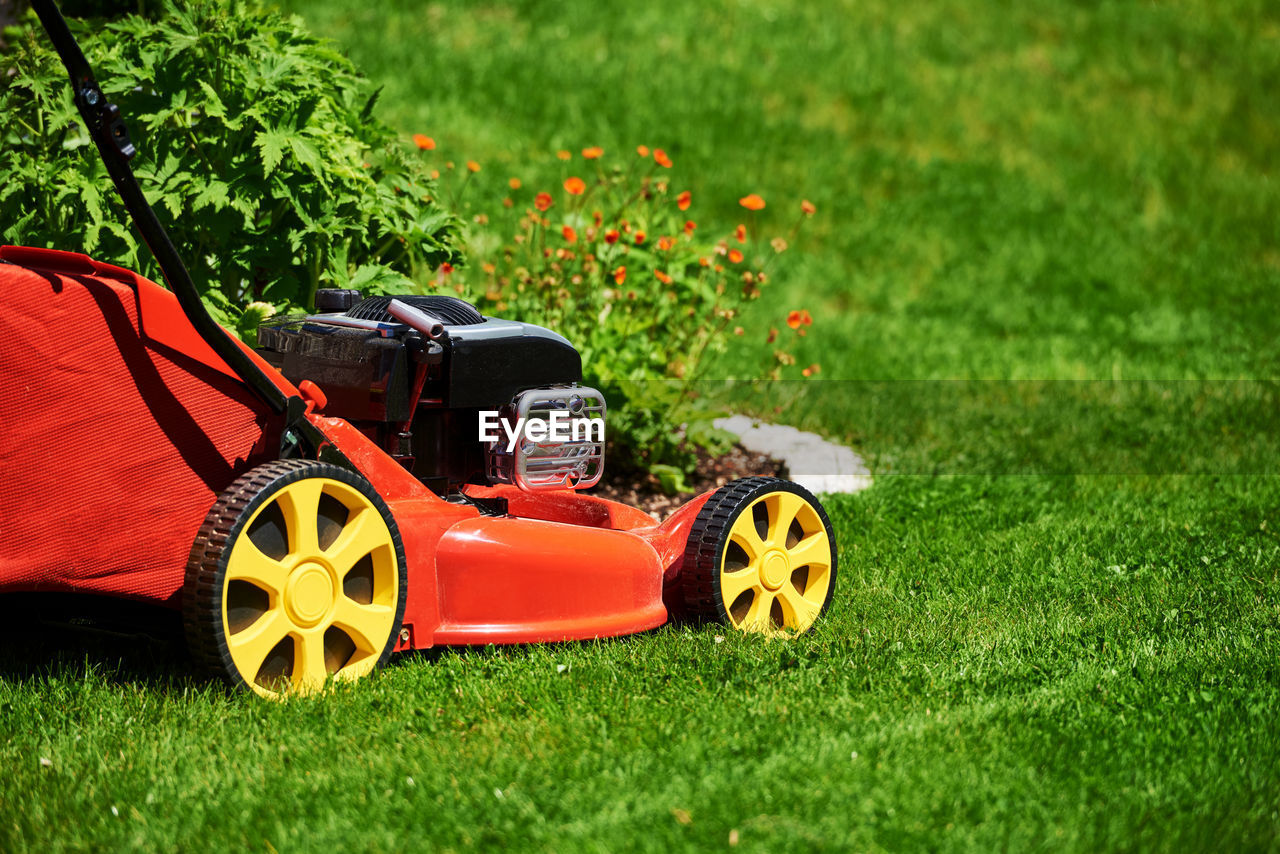 Lawn mower on green grass