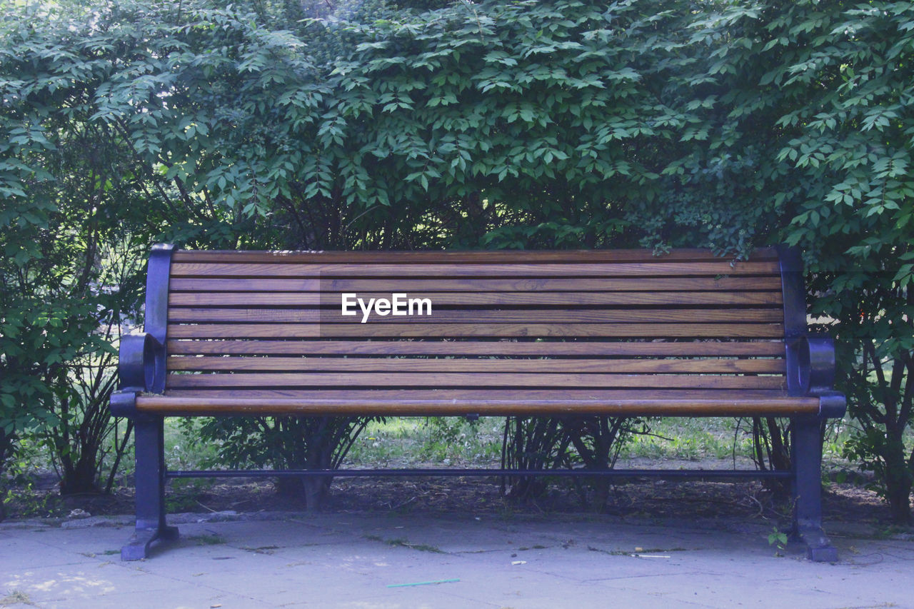 EMPTY BENCH ON BENCH