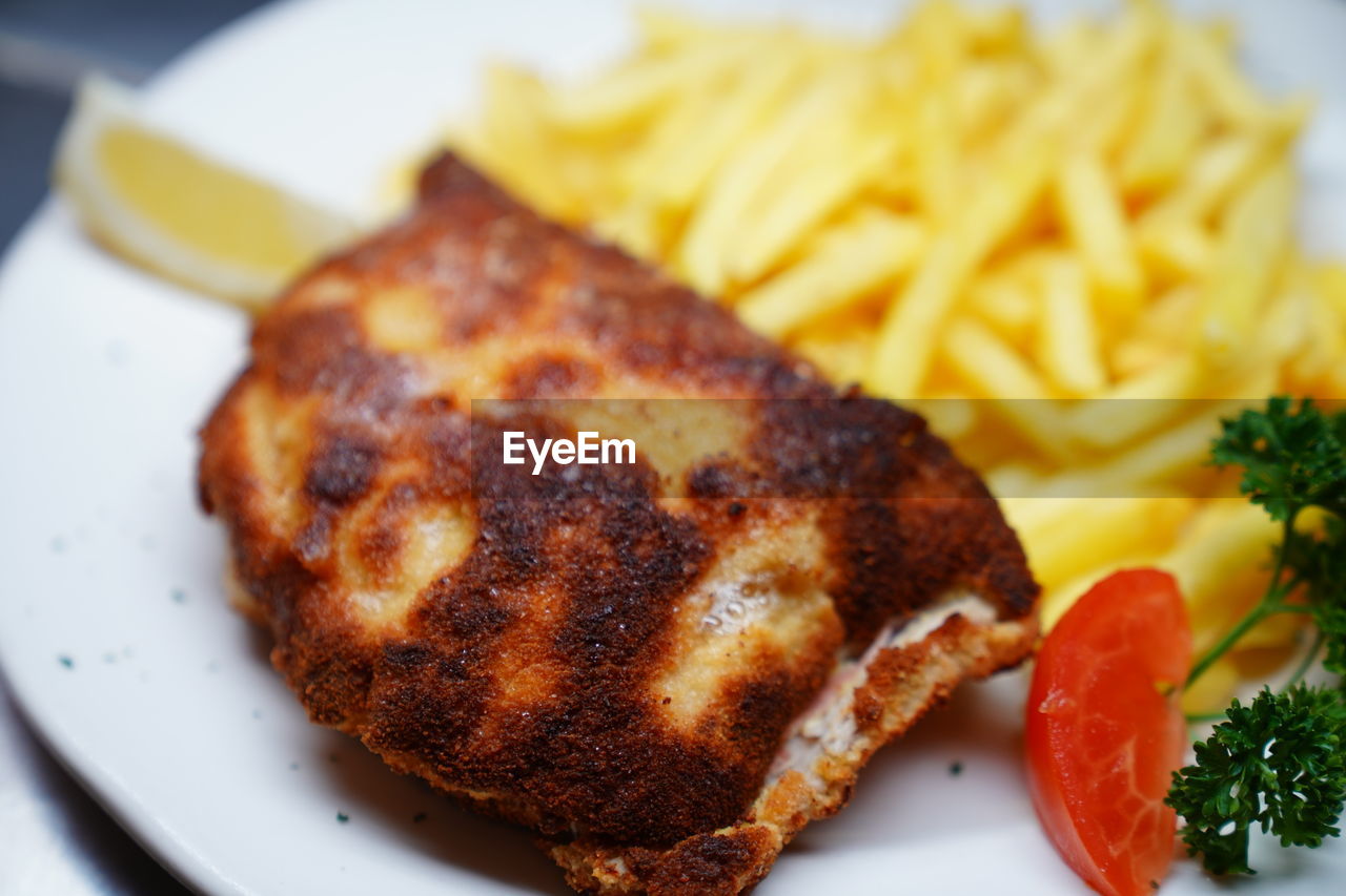 CLOSE-UP OF SANDWICH SERVED WITH MEAT AND PLATE