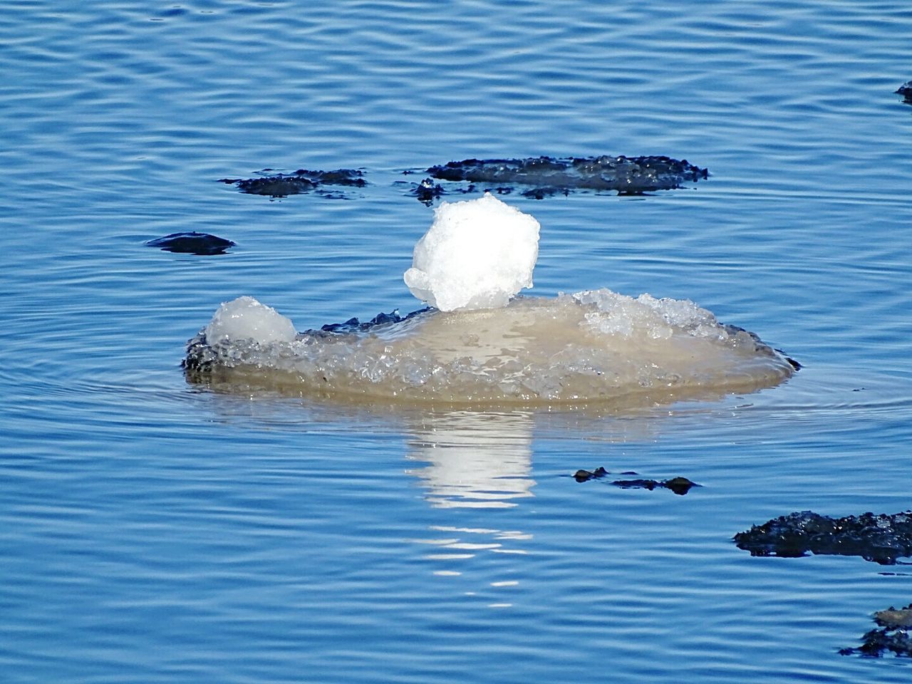 Close-up of ice floating in lake