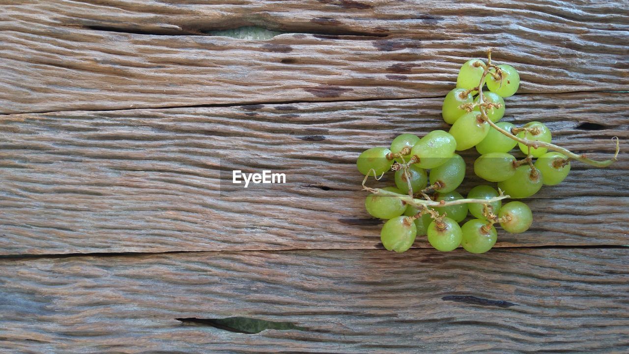 HIGH ANGLE VIEW OF PLANT ON TABLE