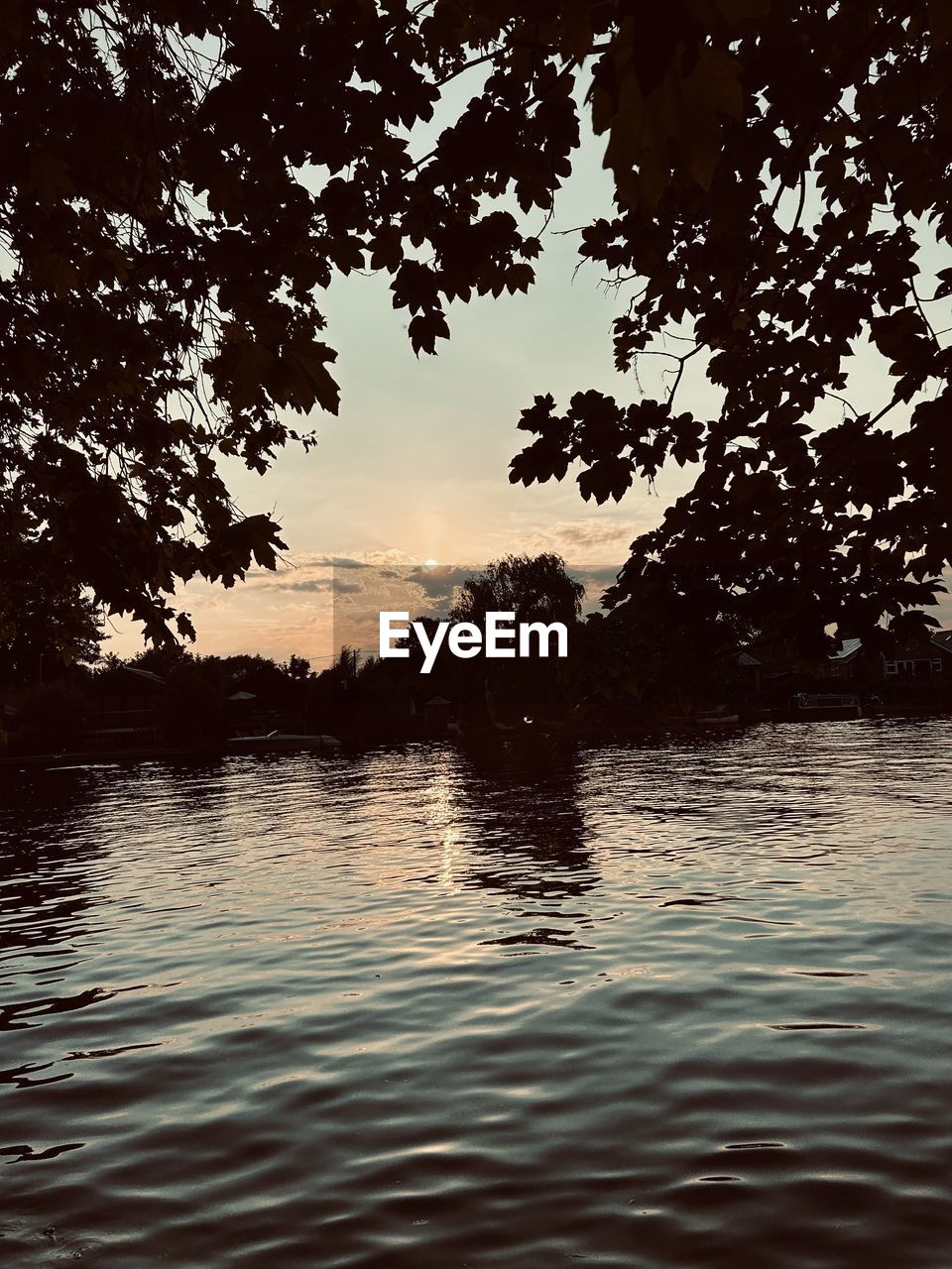 water, tree, reflection, beauty in nature, sky, nature, tranquility, scenics - nature, plant, tranquil scene, sunset, lake, no people, sunlight, silhouette, outdoors, environment, idyllic, rippled, evening, land, non-urban scene, cloud, landscape, travel destinations