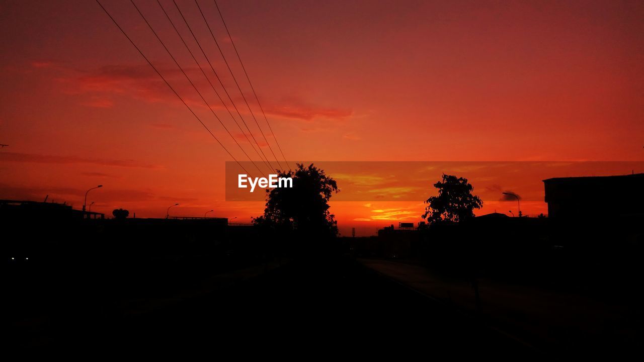 SILHOUETTE OF TREES AGAINST SKY AT SUNSET