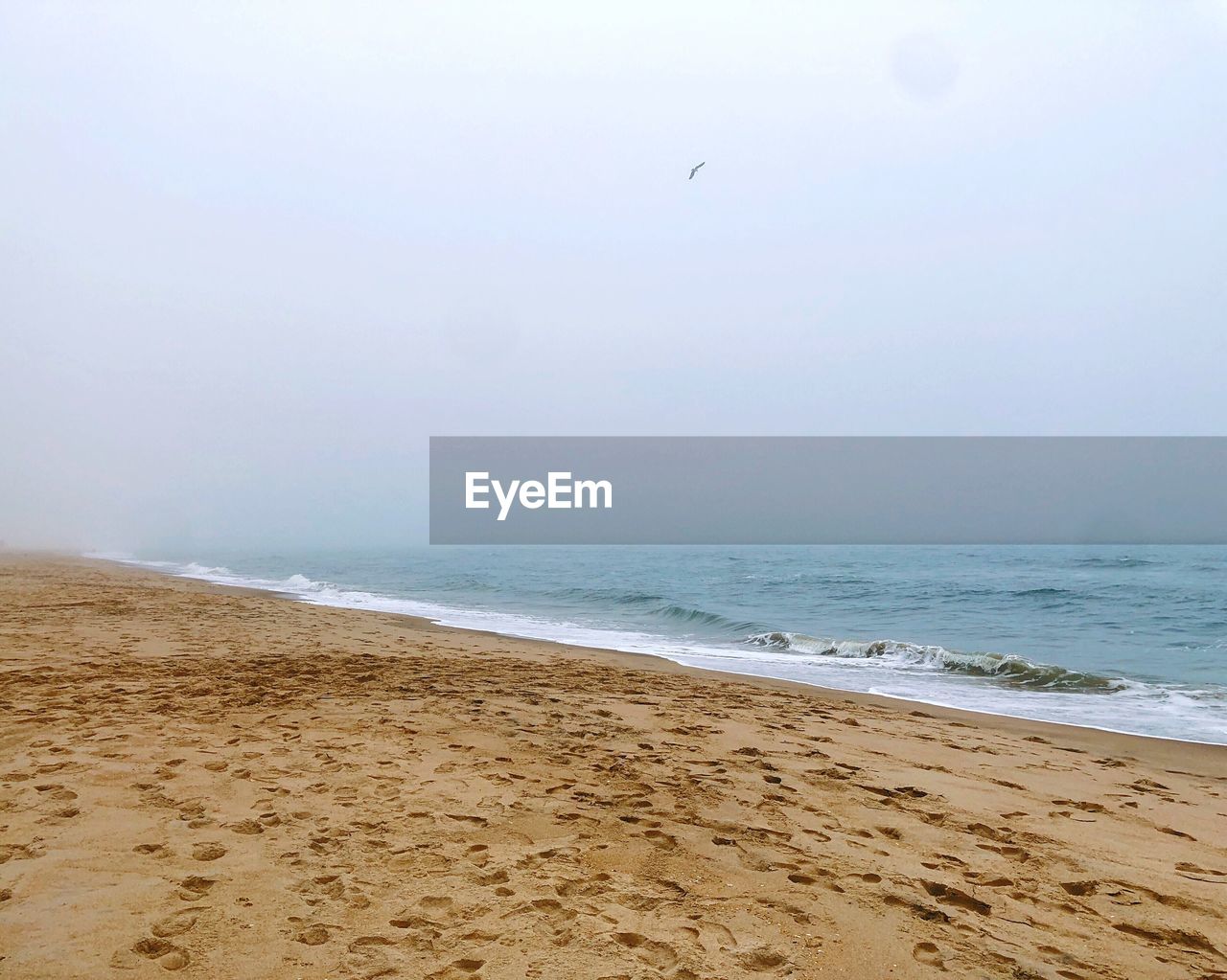 SCENIC VIEW OF BEACH AND SEA AGAINST SKY