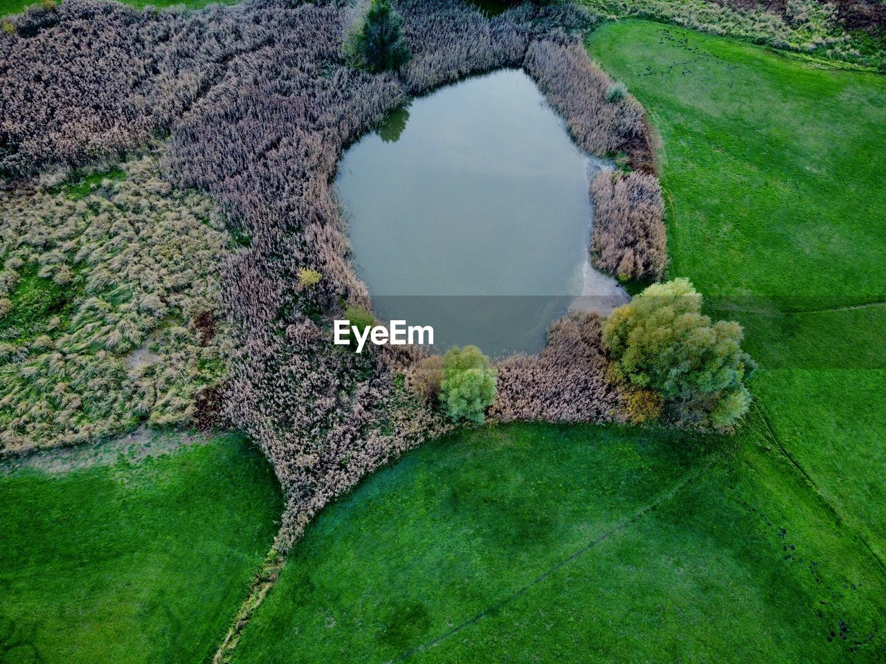 green, water, grass, nature, plant, aerial photography, no people, pond, soil, environment, day, tranquility, high angle view, beauty in nature, landscape, outdoors, tree, land, garden, scenics - nature, lawn, terrain, aerial view, tranquil scene, moss, leaf, growth, travel destinations, rock, architecture, shape