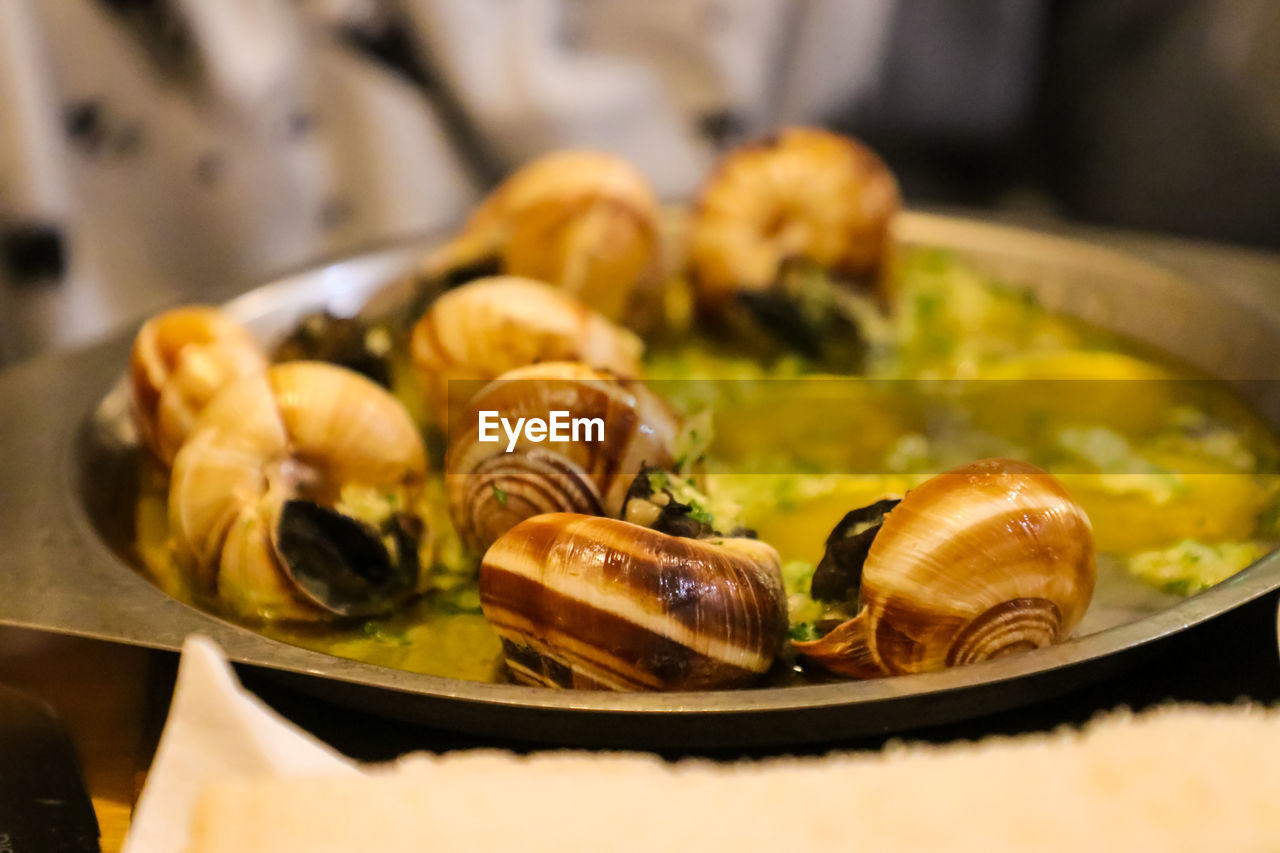 CLOSE-UP OF FOOD ON PLATE