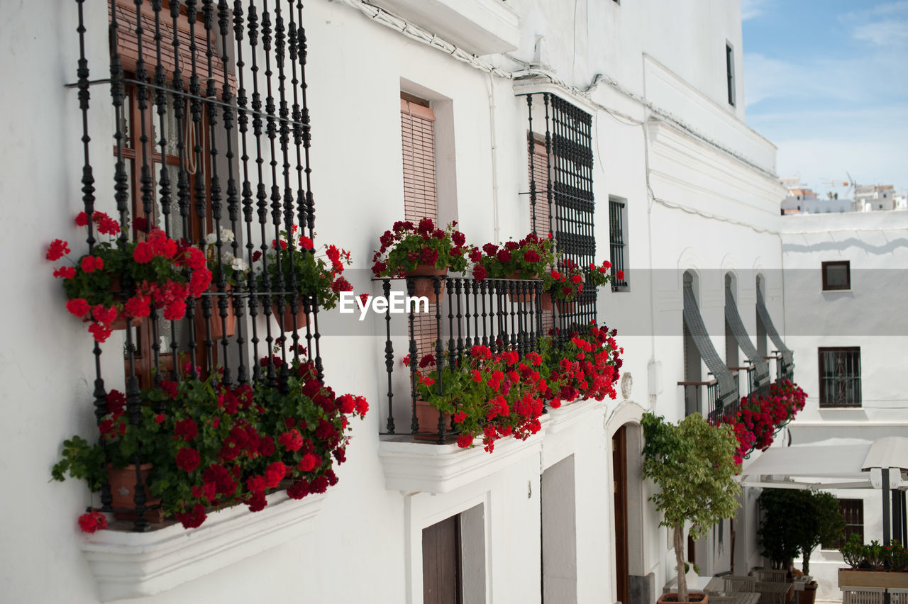 Red flowers on balconies in white village in spain