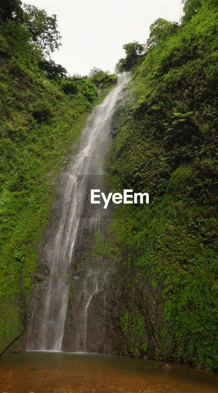 Idyllic view of waterfall in forest